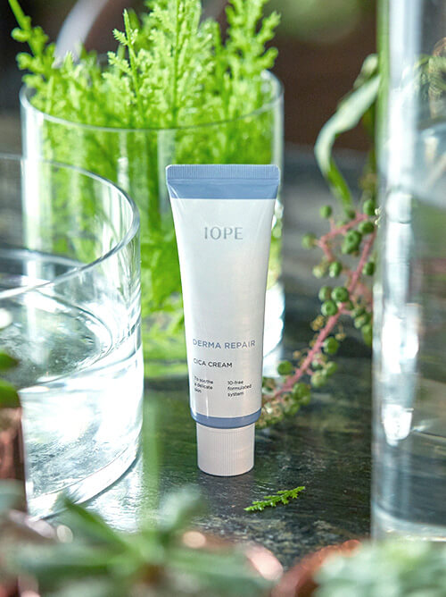 더마 리페어 시카크림, DERMA REPAIR CICA CREAM