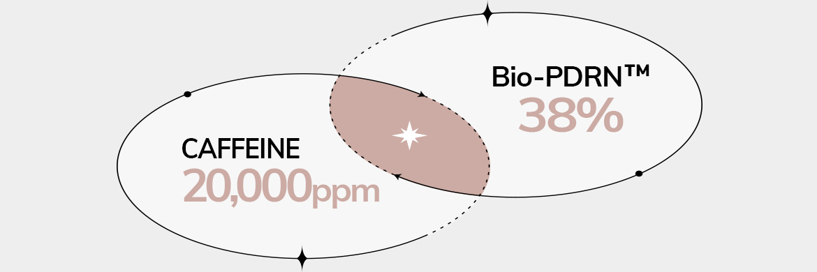 Bio-PDRN™ : 38% / CAFFEINE : 20,000ppm