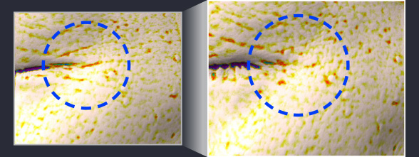 사용 전과 4주 사용 후 눈가 주름 개선 비교 이미지