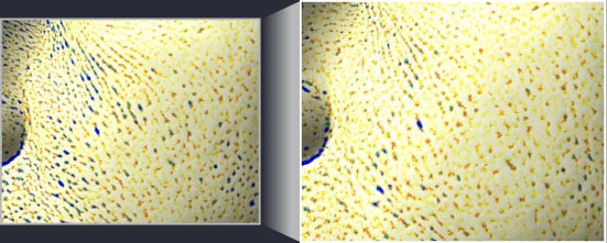 사용 전에 비해 사용 후 주름 개선 측정