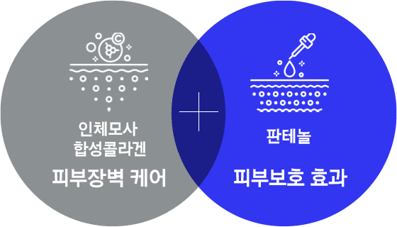 인체모사 합성콜라겐, 피부장벽 케어 + 판테놀 피부보호 효과
