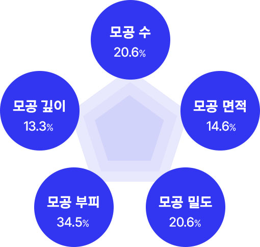모공 수 20.6% /모공 면적 14.6% / 모공 밀도 20.6% / 모공 부피 34.5% / 모공 깊이 13.3%