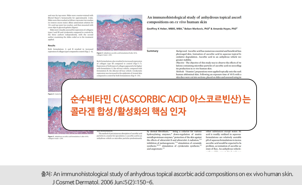 순수비타민 C(ASCORBIC ACID 아스코르빈산)는 콜라겐 합성/활성화의 핵심인자, 출처:An immunohistological study of anhydrous topical ascorbic acid compositions on ex vivo human skin. J Consmet Dermatol. 2006 Jun;5(2):150-6. 