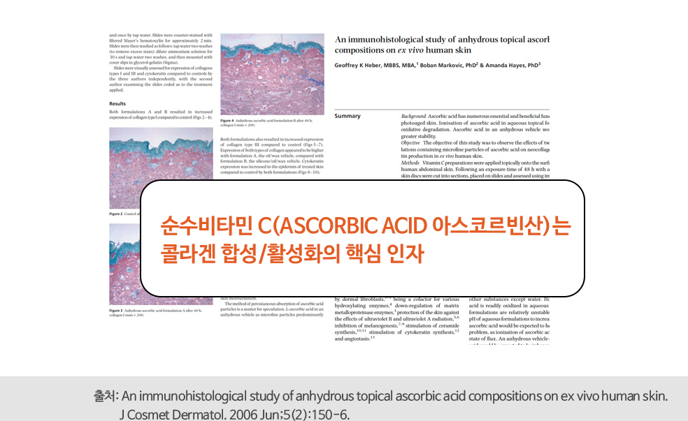 순수비타민 C(ASCORBIC ACID 아스코르빈산)는 콜라겐 합성/활성화의 핵심인자, 출처:An immunohistological study of anhydrous topical ascorbic acid compositions on ex vivo human skin. J Consmet Dermatol. 2006 Jun;5(2):150-6.