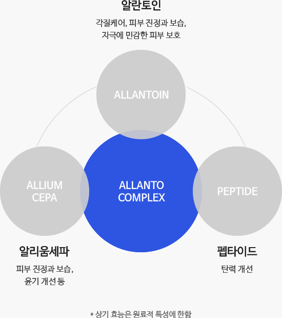 핵심성분 효능