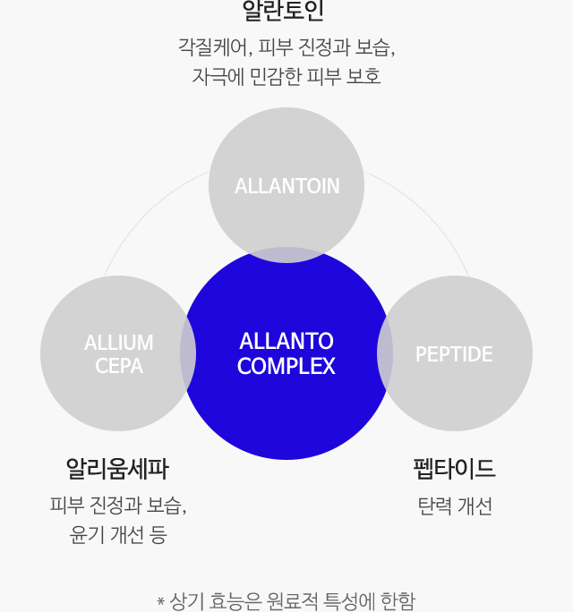 핵심성분 효능