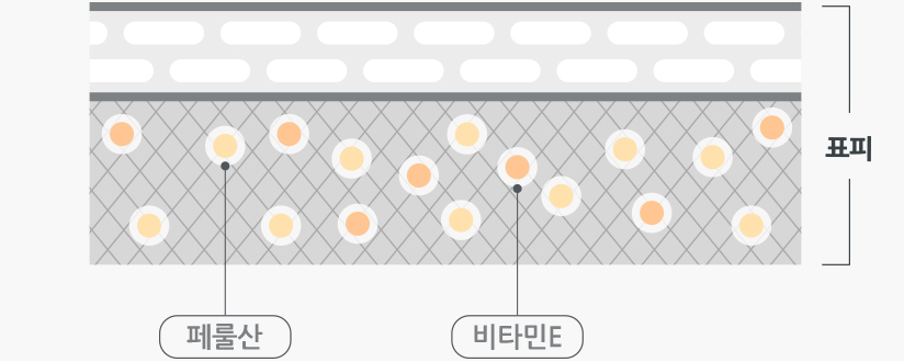 표피, 페룰산